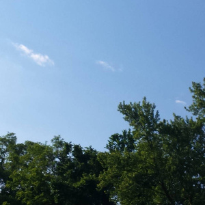 精品人妖videos欧美人妖
