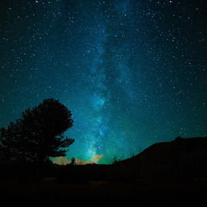 精品人妖videos欧美人妖
